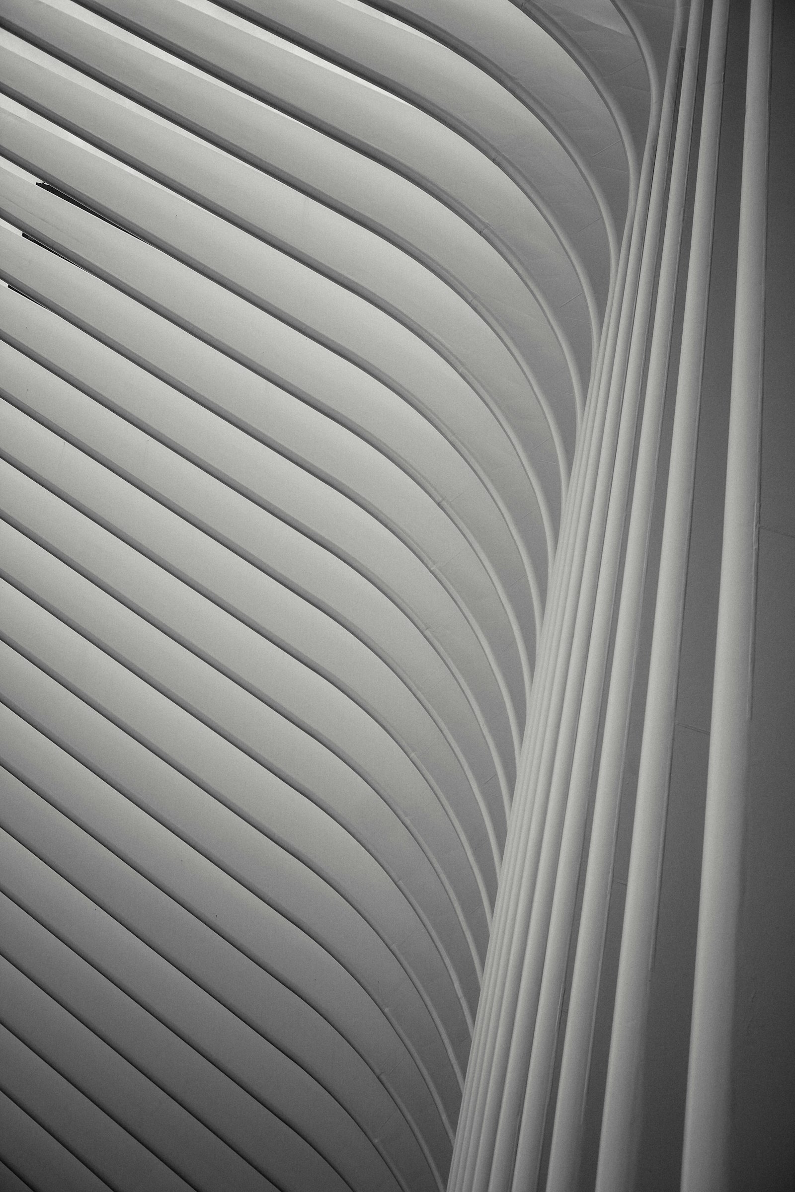 Corporate Restructuring in the UAE: When and How